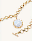 Knockout Collar
