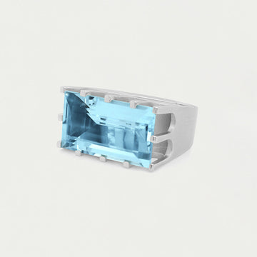 Castle Ring